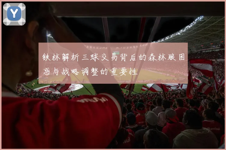 铁林解析三球交易背后的森林狼困惑与战略调整的重要性